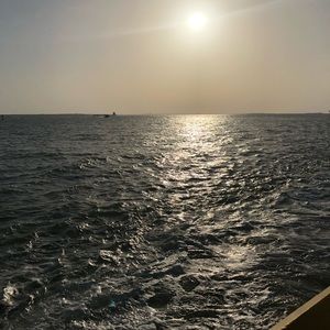 Meet your Posher, Rodrigo